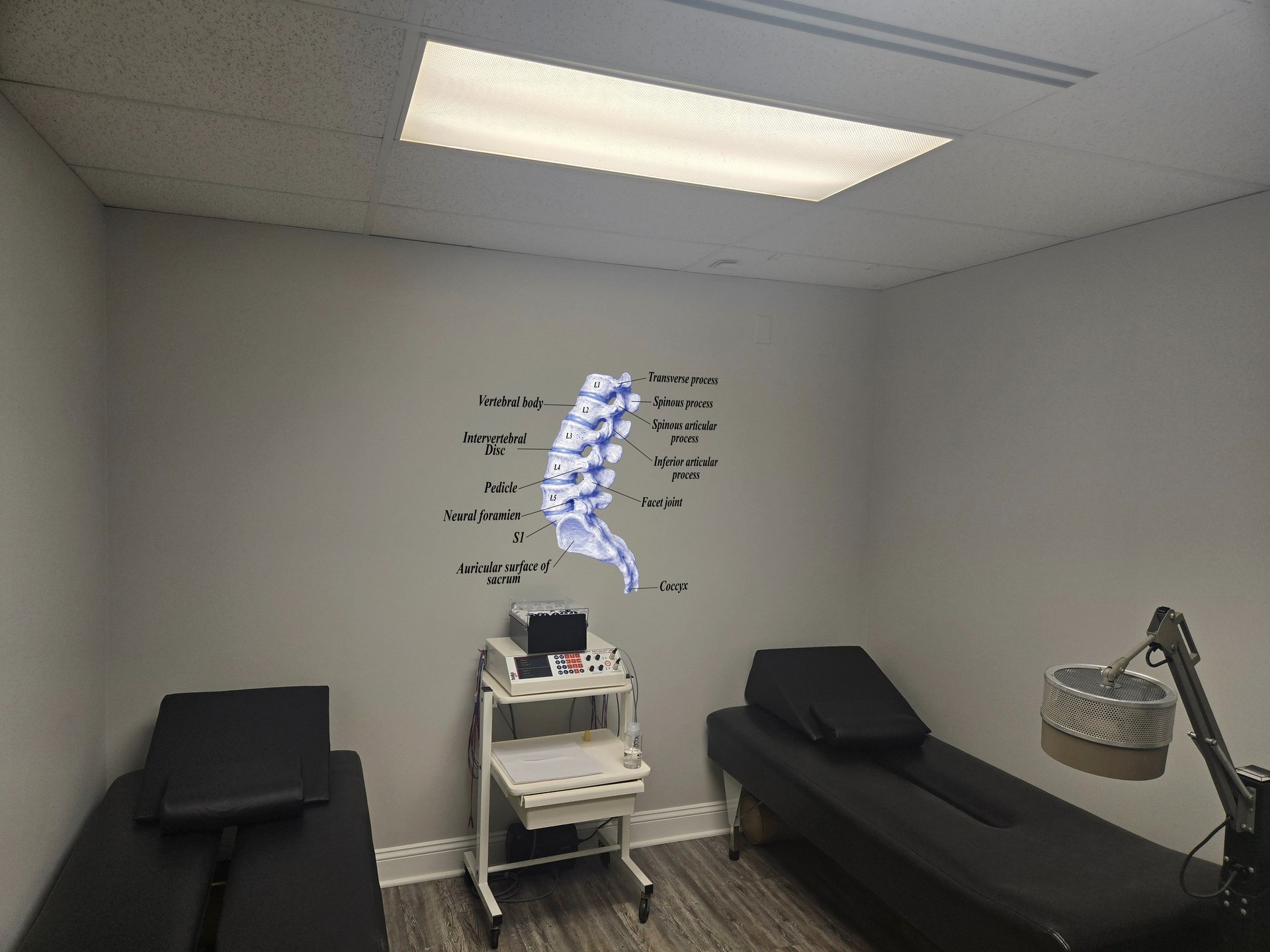 Bone Blueprints lumbar spine piece shown installed in a chiropractic treatment room, alternate view